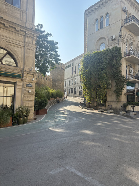 Castle Section